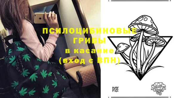 дурь Балахна