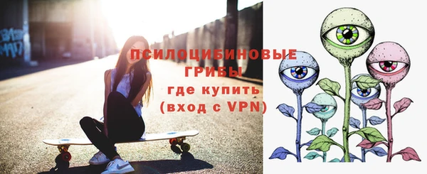 дурь Балахна